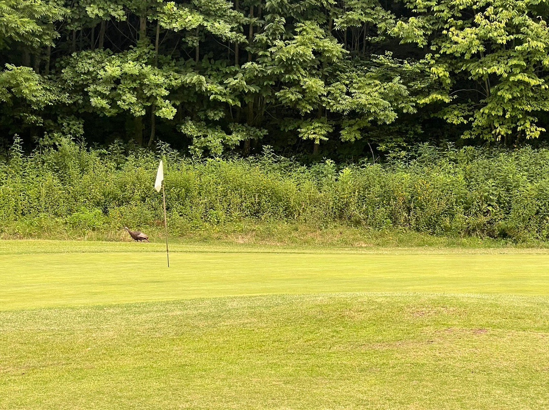 Wild Laurel Golf Course-汤森必去景点