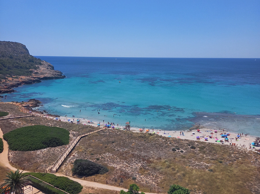 Sol Milanos Pinguinos主图