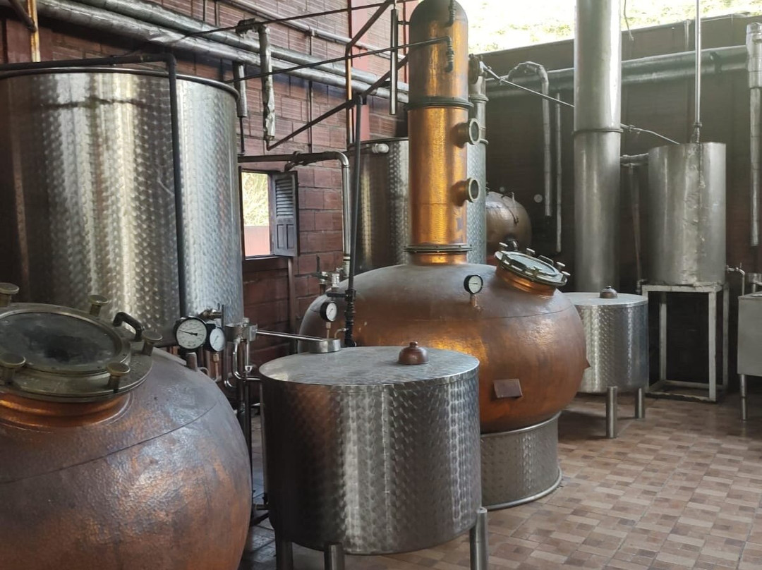 Engenho Triunfo-Areia必去景点