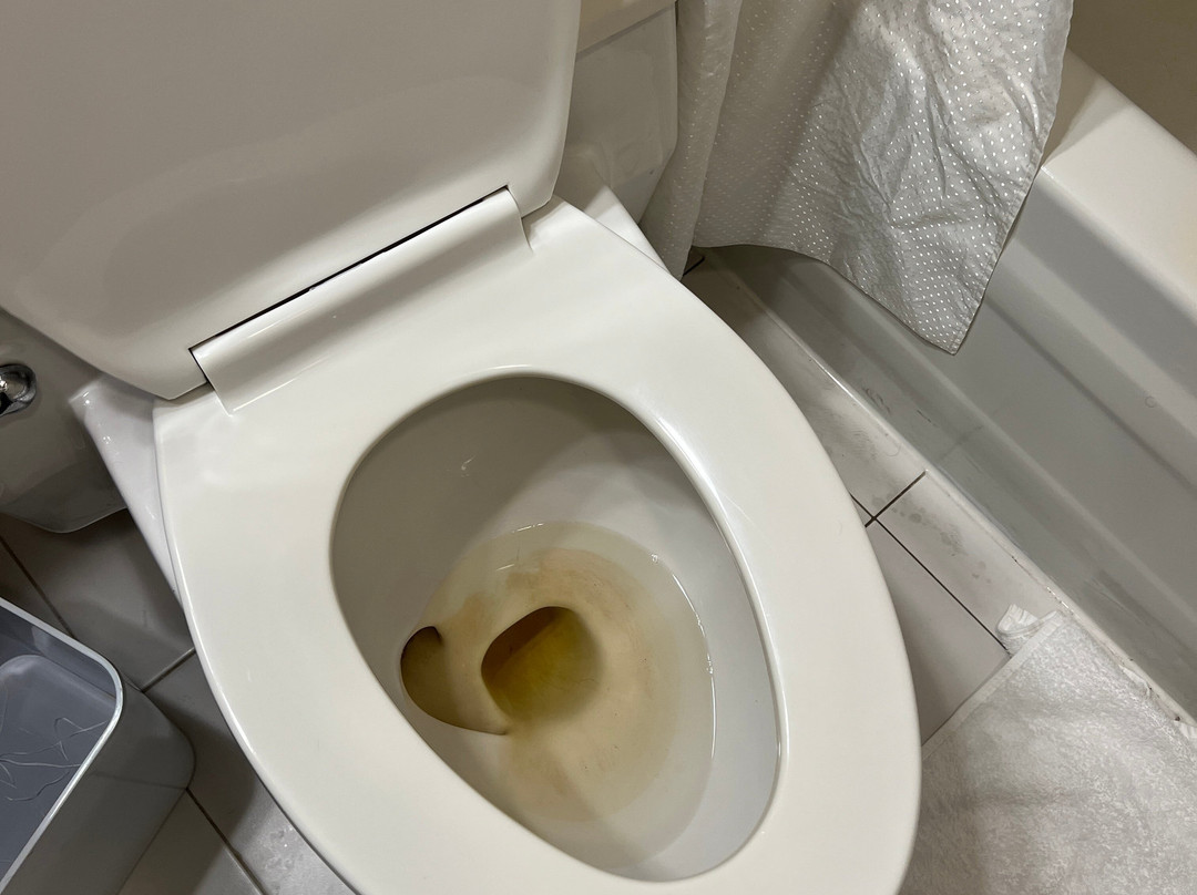 芝加哥奥黑尔机场福朋酒店主图