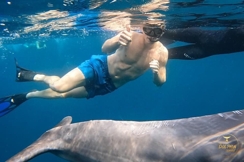 The Dolphin Centre-Ponta do Ouro必去景点