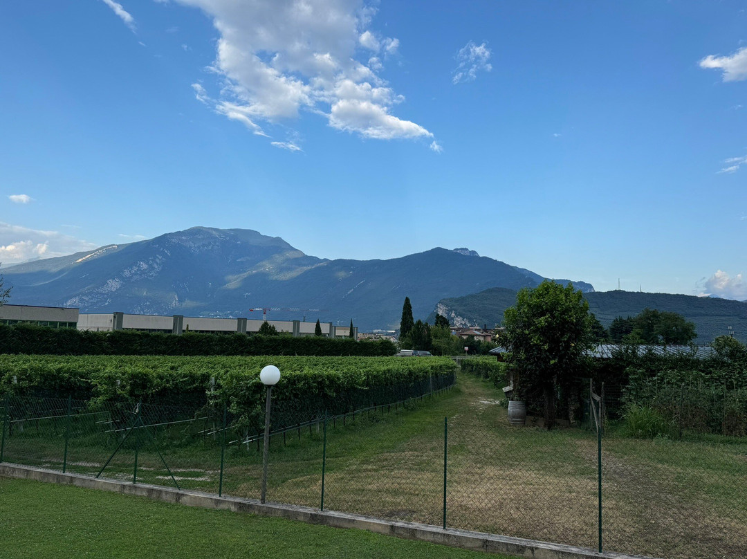 Azienda Agricola Comai景点图片