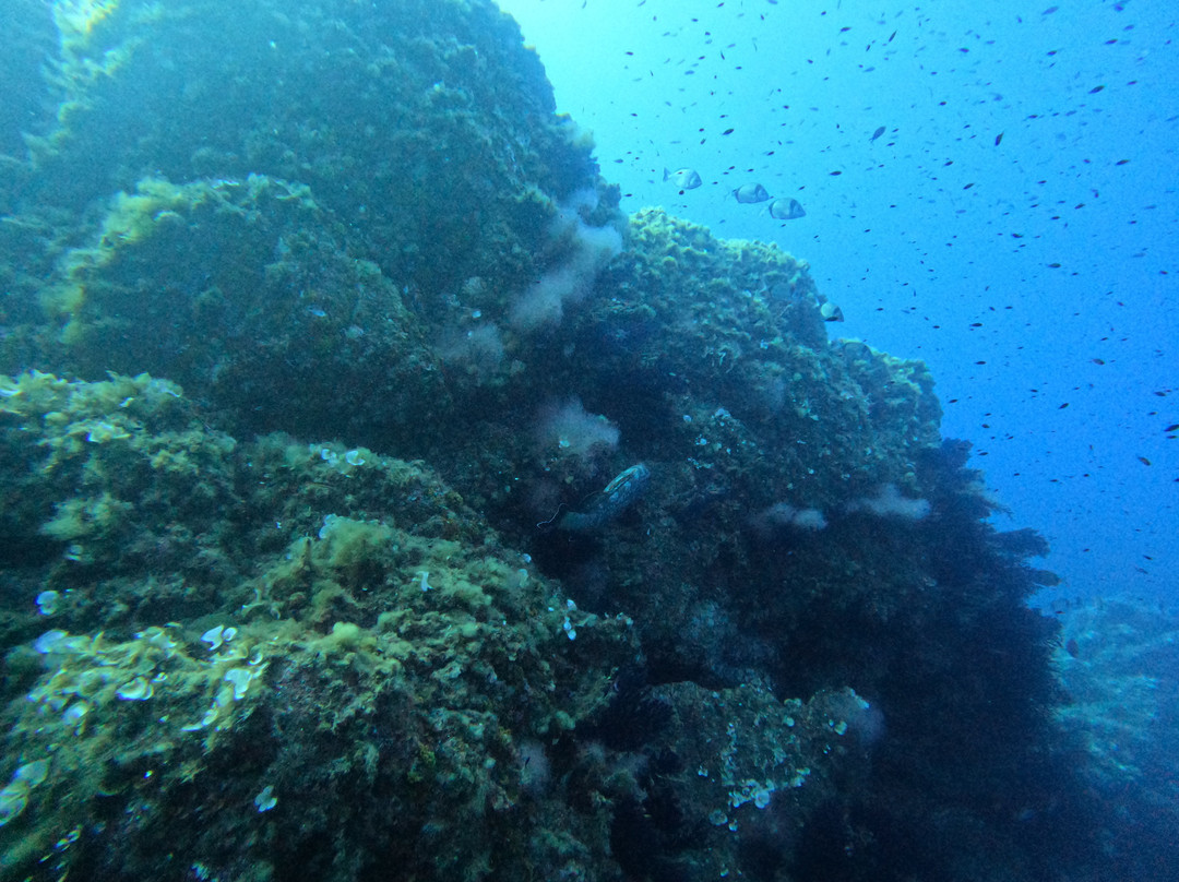 Aqualonde Plongée-La Londe Les Maures必去景点
