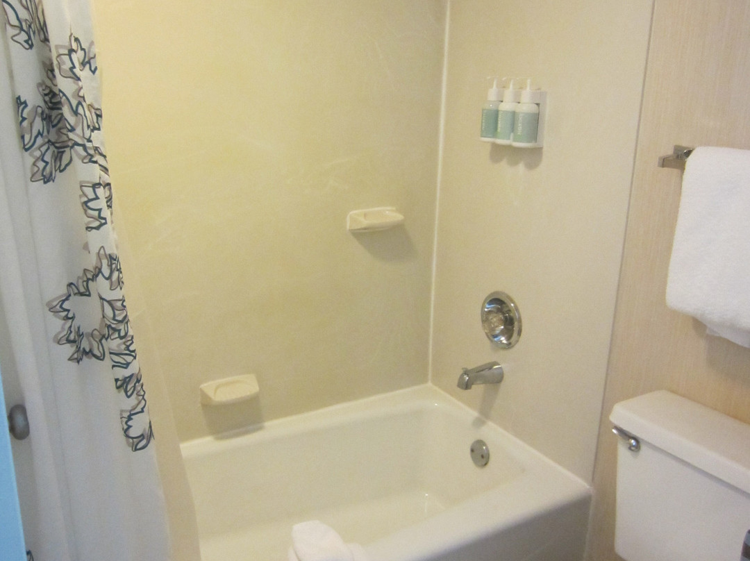 Residence Inn by Marriott Philadelphia Valley Forge主图