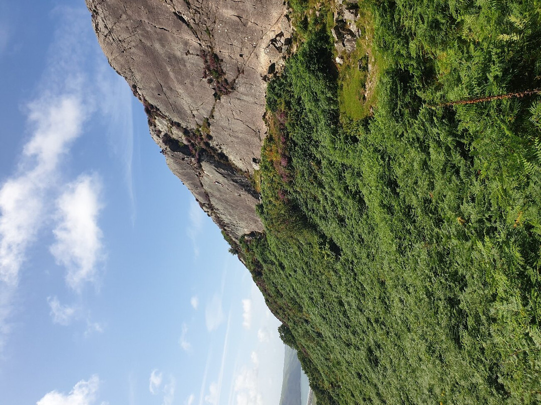 Panorama Walk景点图片