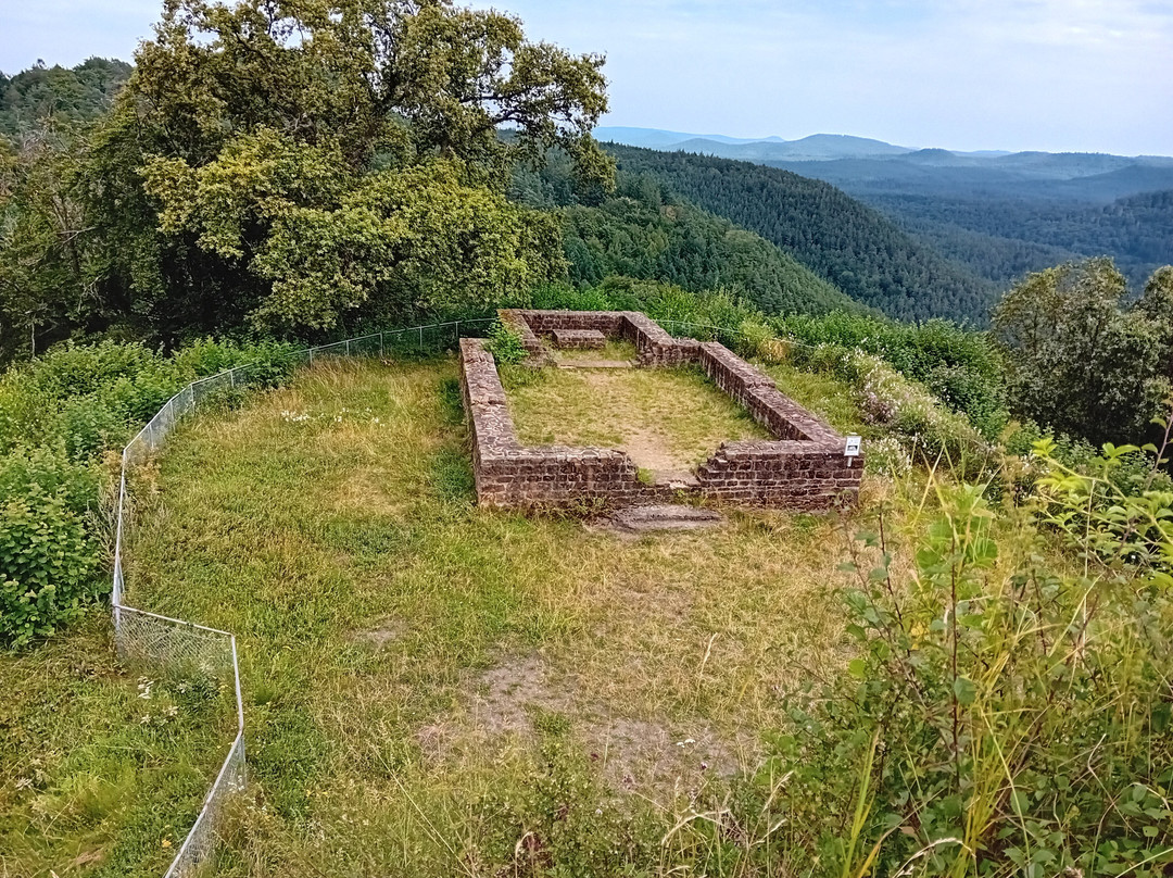 Lemberg Castle景点图片