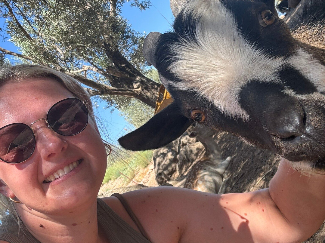 Kariofylli Farm-Lepetymnos必去景点