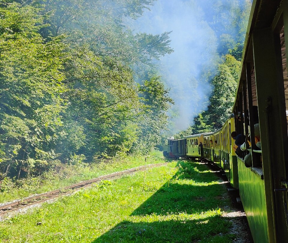 Mocanita Maramures - Viseu De Sus景点图片