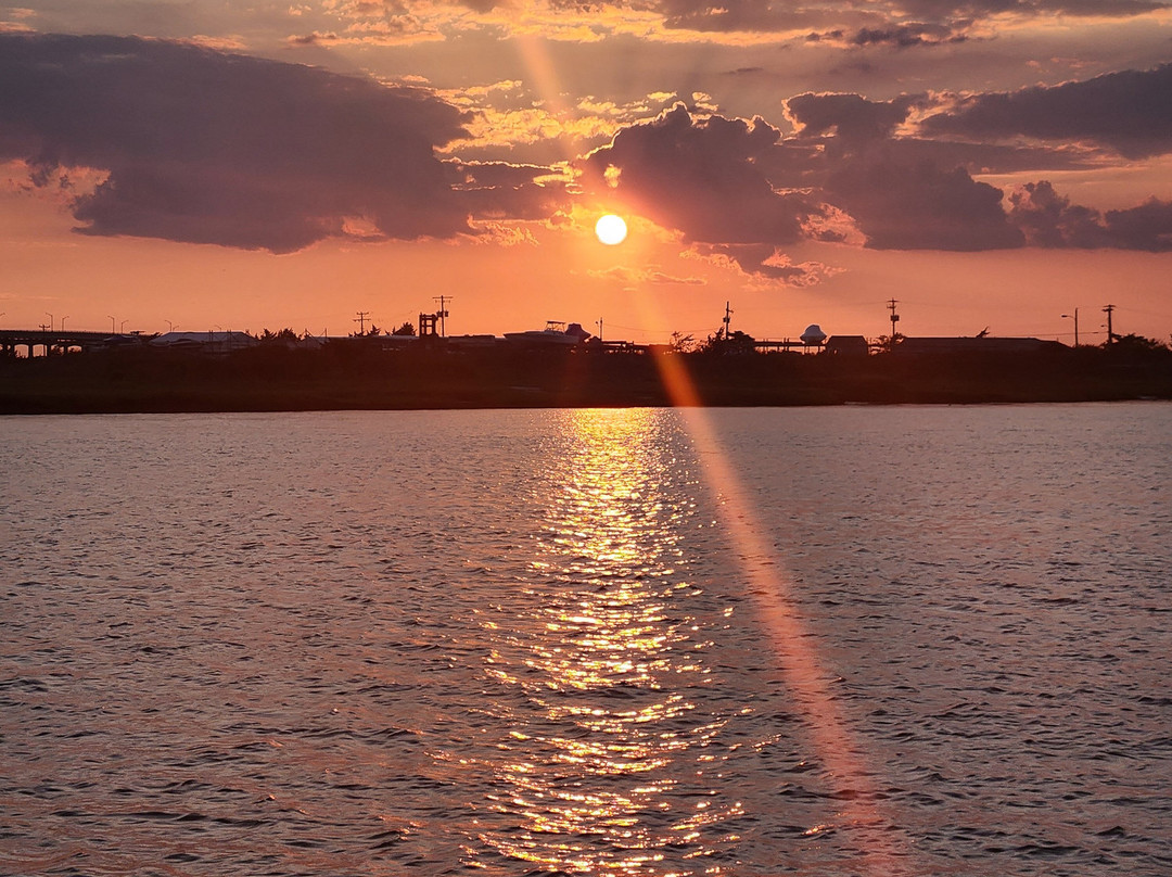 Salt Marsh Safari The Skimmer景点图片