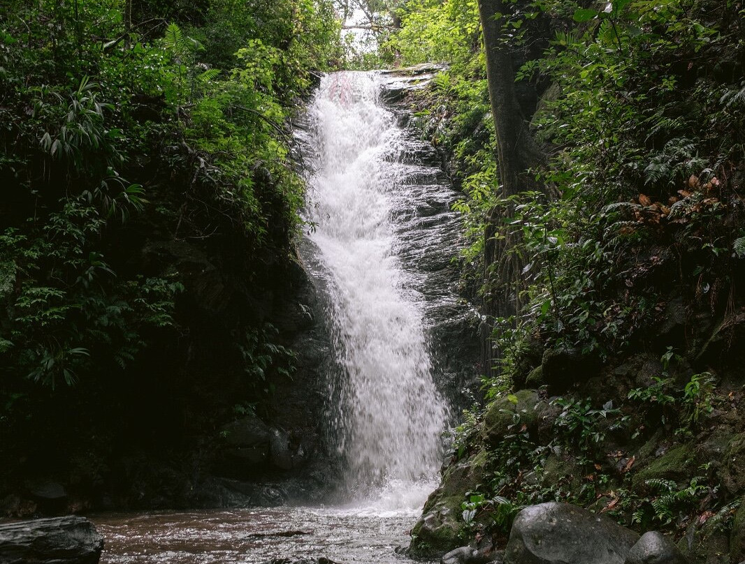 Catarata Los Murcielagos - Monteverde Waterfall景点图片