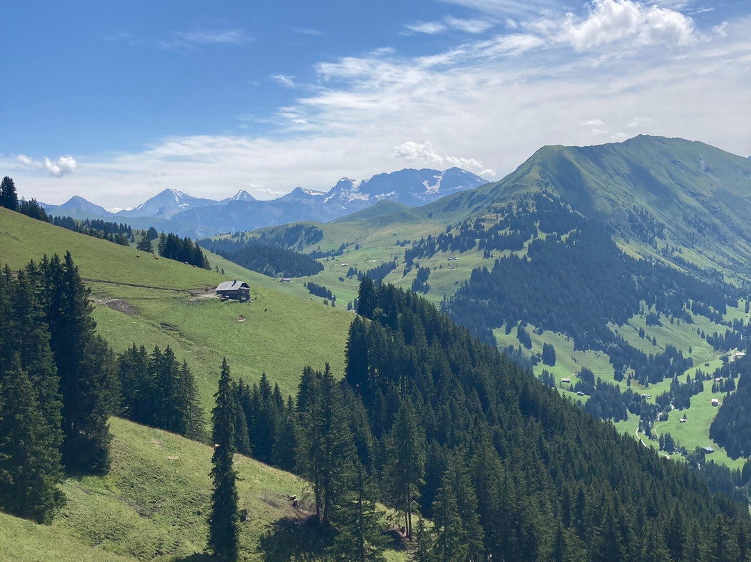 Horneggli - Hornberg - Rinderberg景点图片