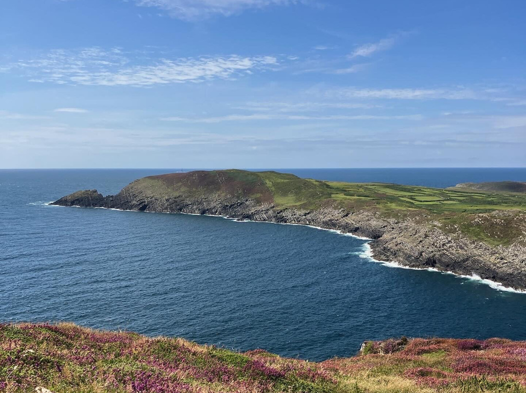 Cape Clear Ferry-Schull必去景点