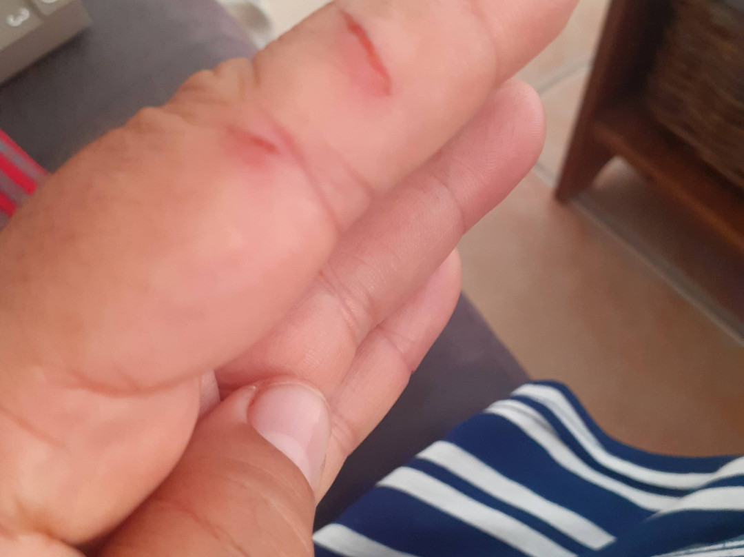 Office de Tourisme de Gruissan-Gruissan必去景点