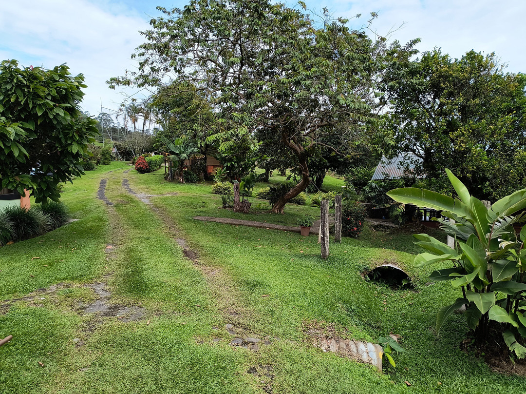 Los Gallitos Hotel主图