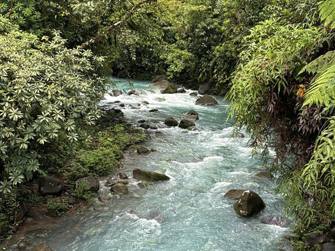 Plate Transfer and Tour-利比里亚必去景点