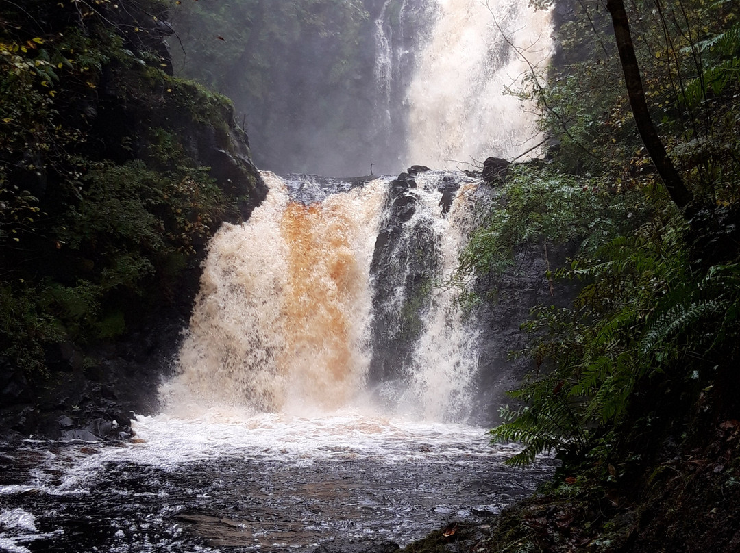 Skye Scenic Tours-Portree必去景点