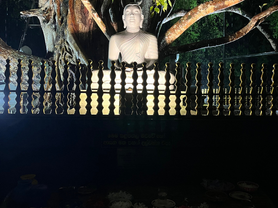 Tira Travels (pvt) Ltd景点图片