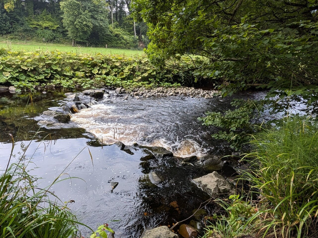 Glenarm forest-Glenarm必去景点