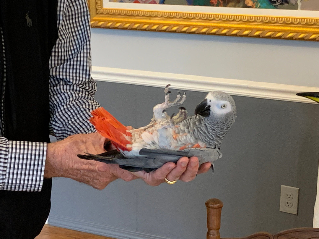 Main Street Inn B&B主图