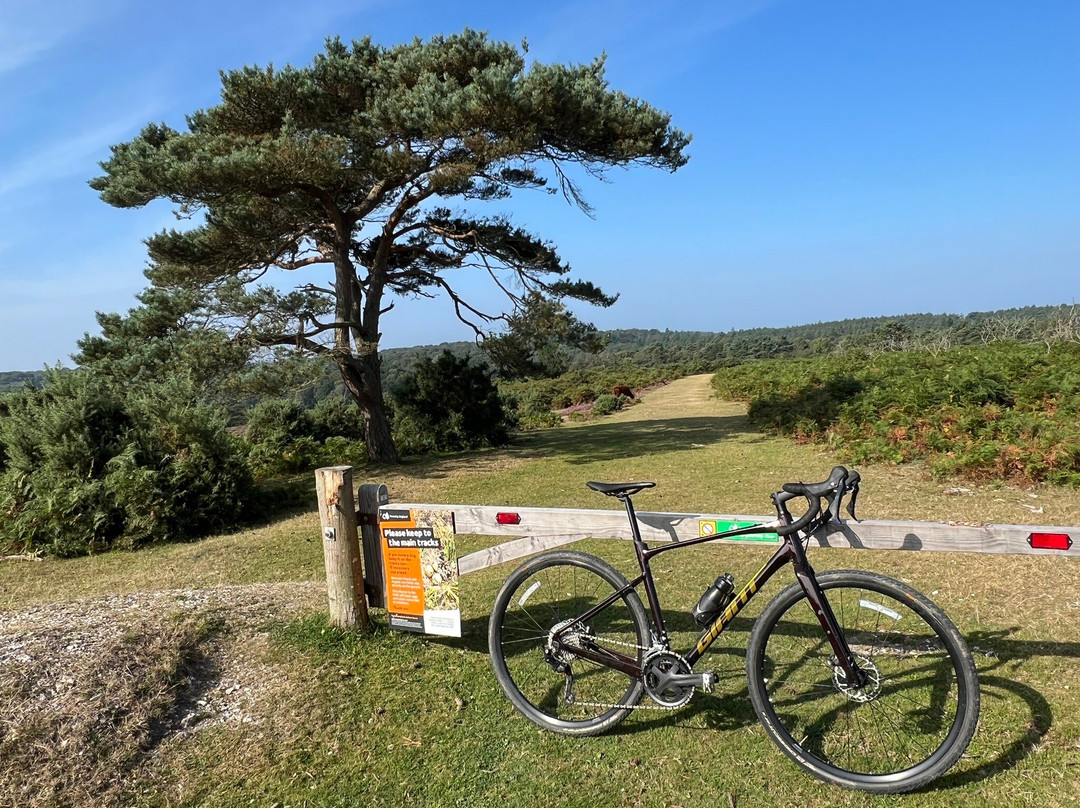 New Forest Cycling景点图片