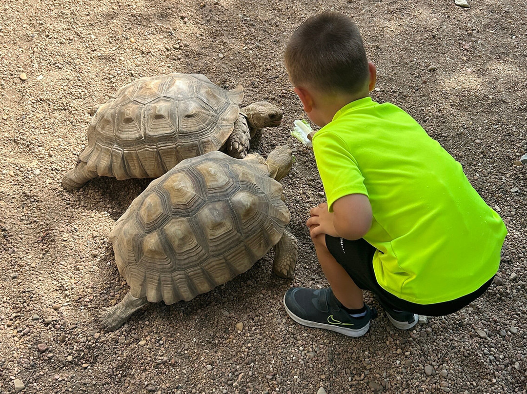 Tanganyika Wildlife Park景点图片