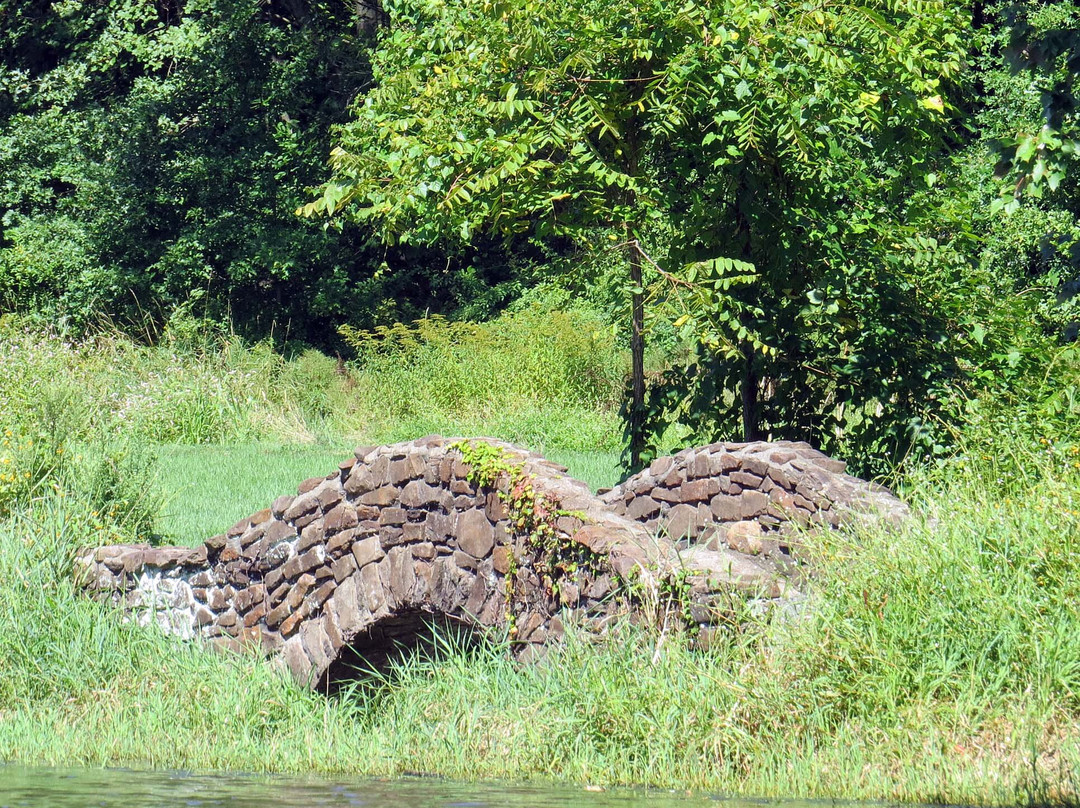 Bayne Park景点图片