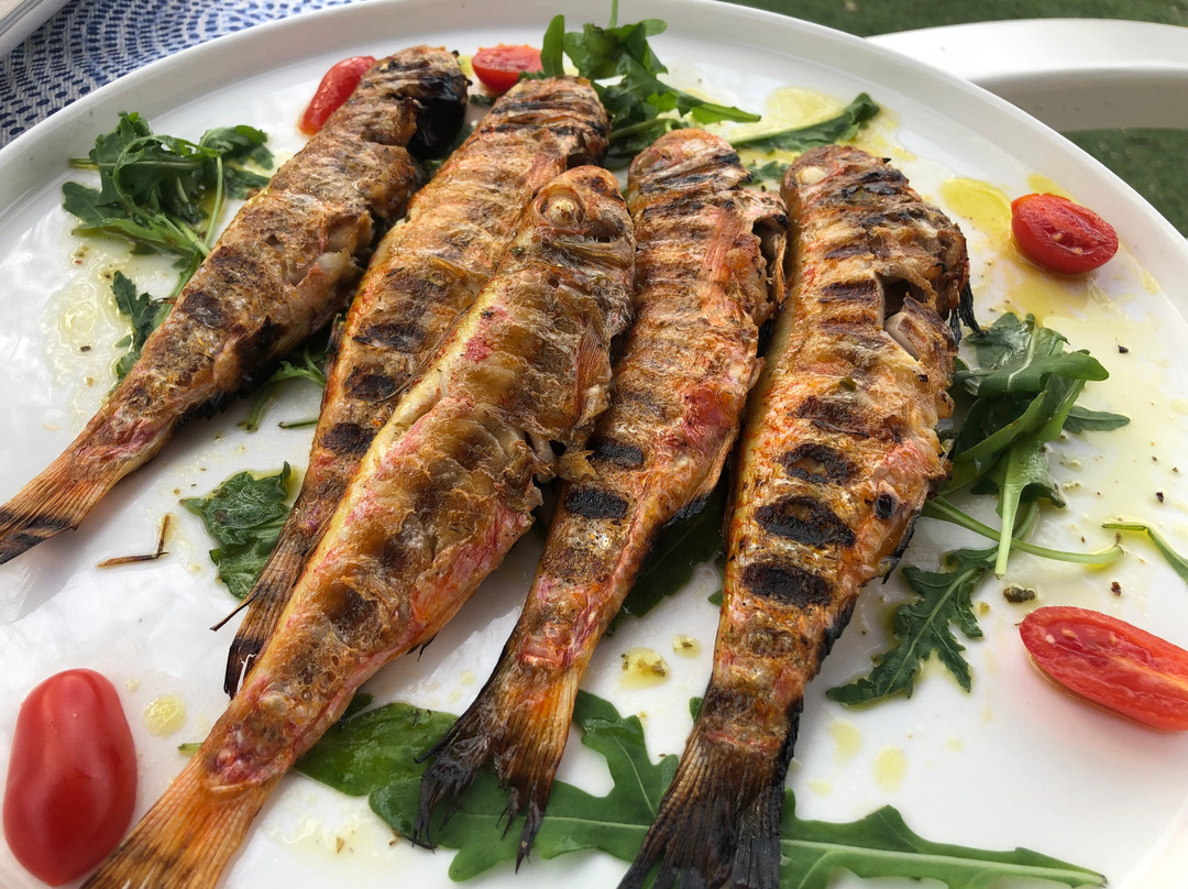 Vlychos Beach-Hydra必去景点