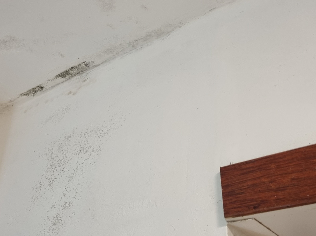 Pierre & Vacances Village Sainte-Anne主图