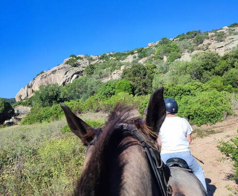 Equicomplice A Staffa Poney Club-维琪奥港必去景点