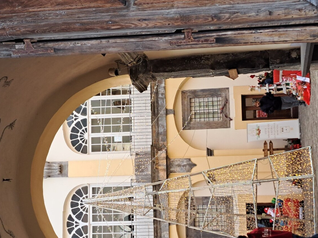 Palazzo Mediceo景点图片