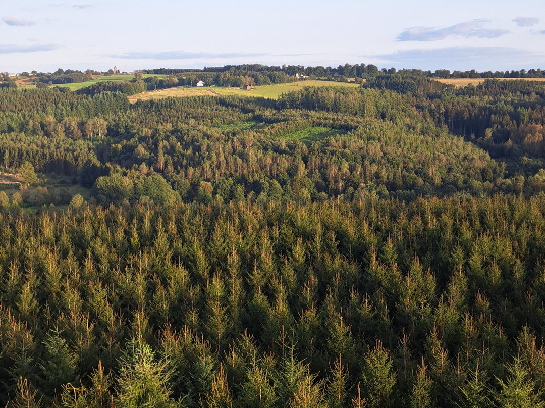 Montgolfiere Ardenne景点图片