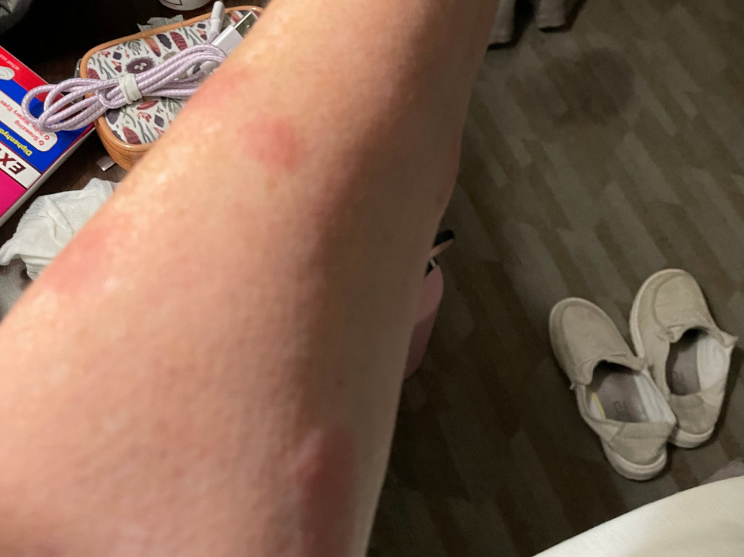 Baymont by Wyndham Minot主图