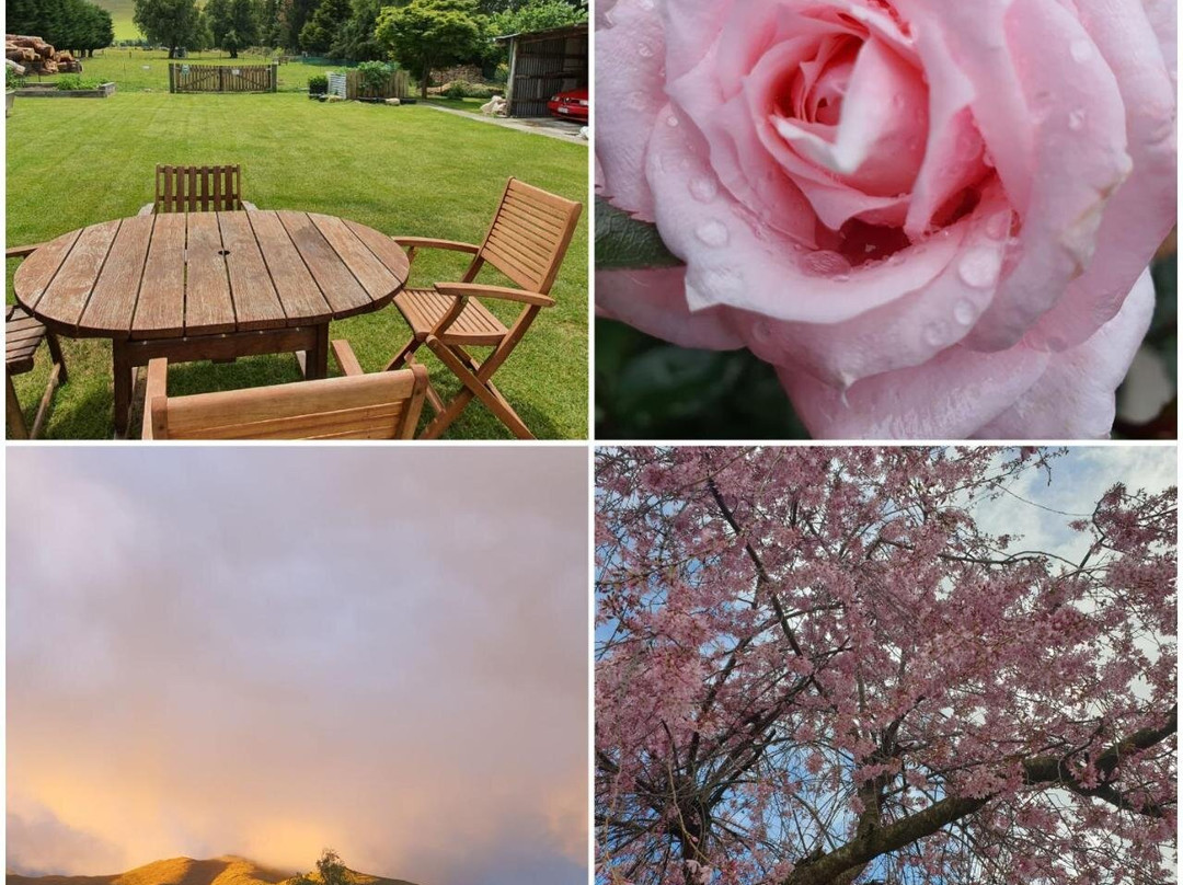 Burkes Pass Country Motels主图