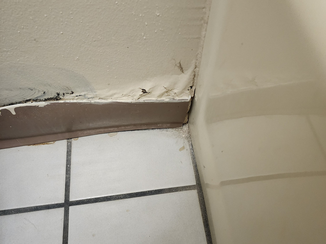 Baymont by Wyndham Ozark主图