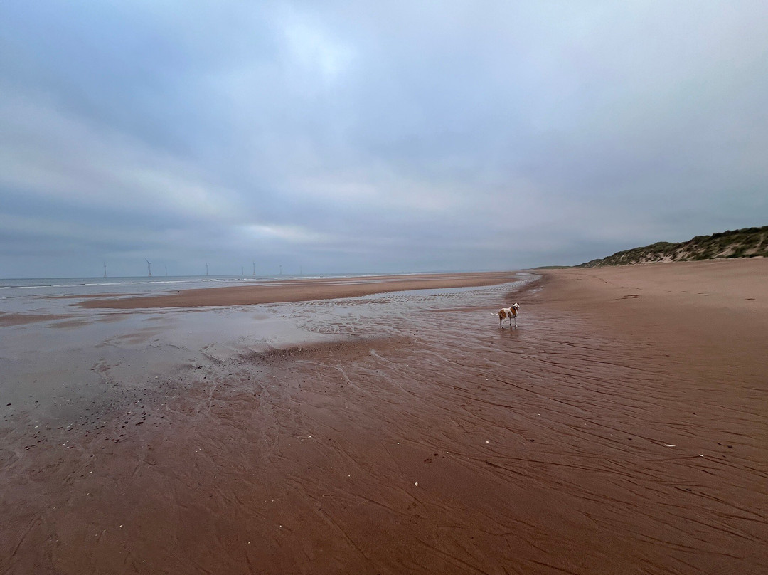 Balmedie Beach & Country Park-Balmedie必去景点