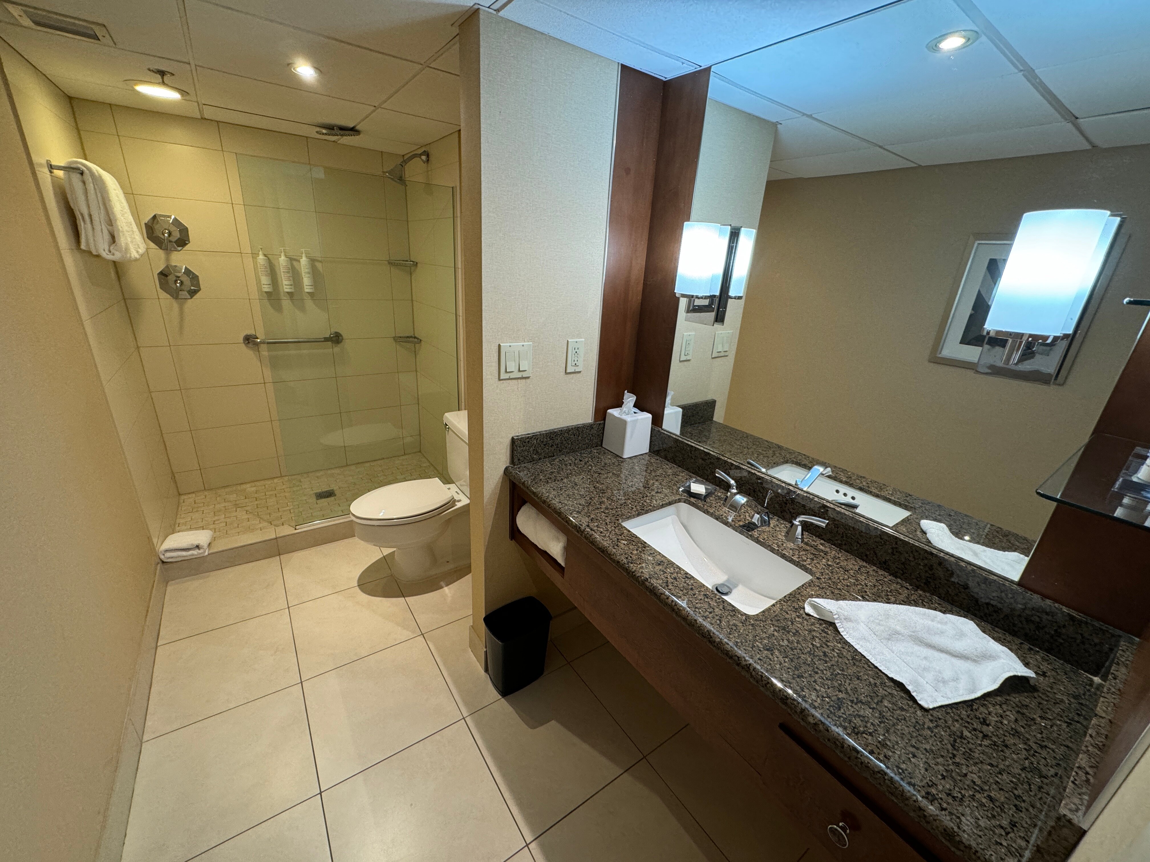 Stamford Marriott Hotel & Spa-浴室