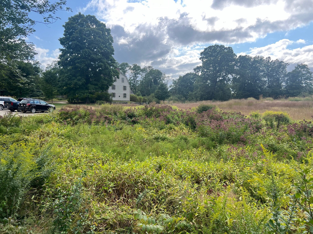 北桥-康科德必去景点