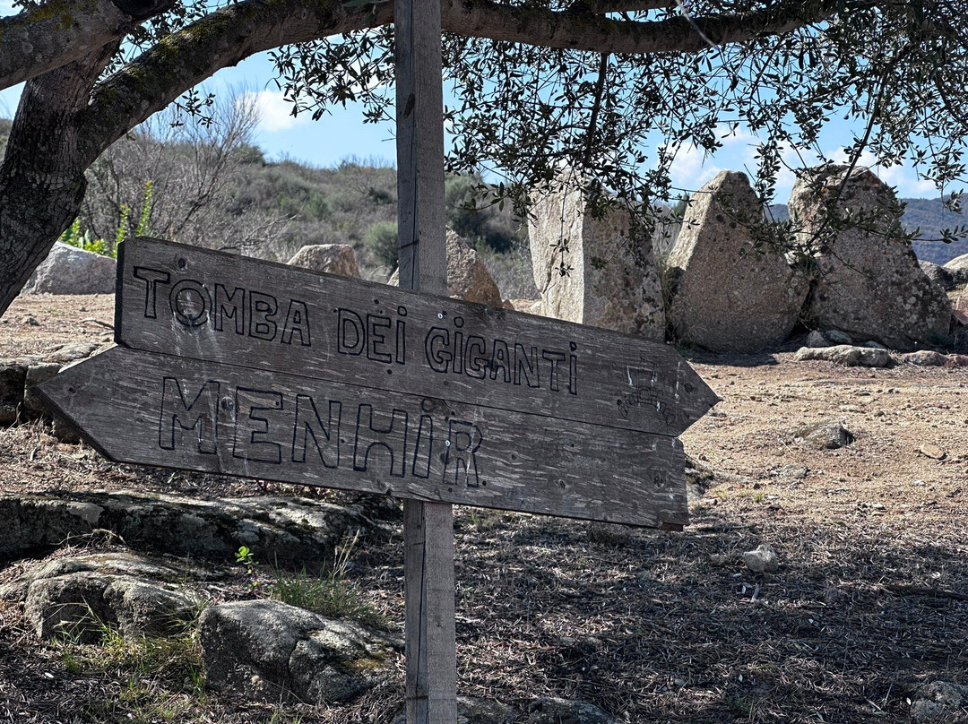 Nuraghe S'ortali 'e Su Monti-Tortoli必去景点
