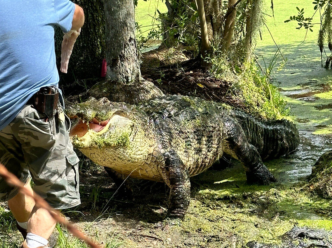 Jungle Adventures A Real Florida Animal Park-Christmas必去景点