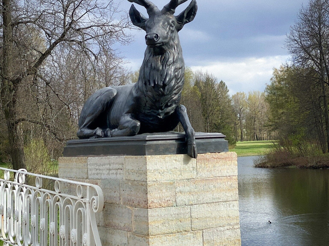 Pavlovsk Park景点图片