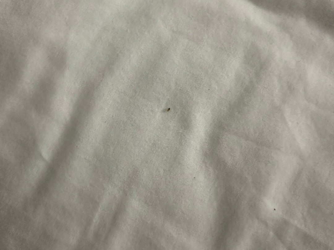 Stonecrest Motel主图