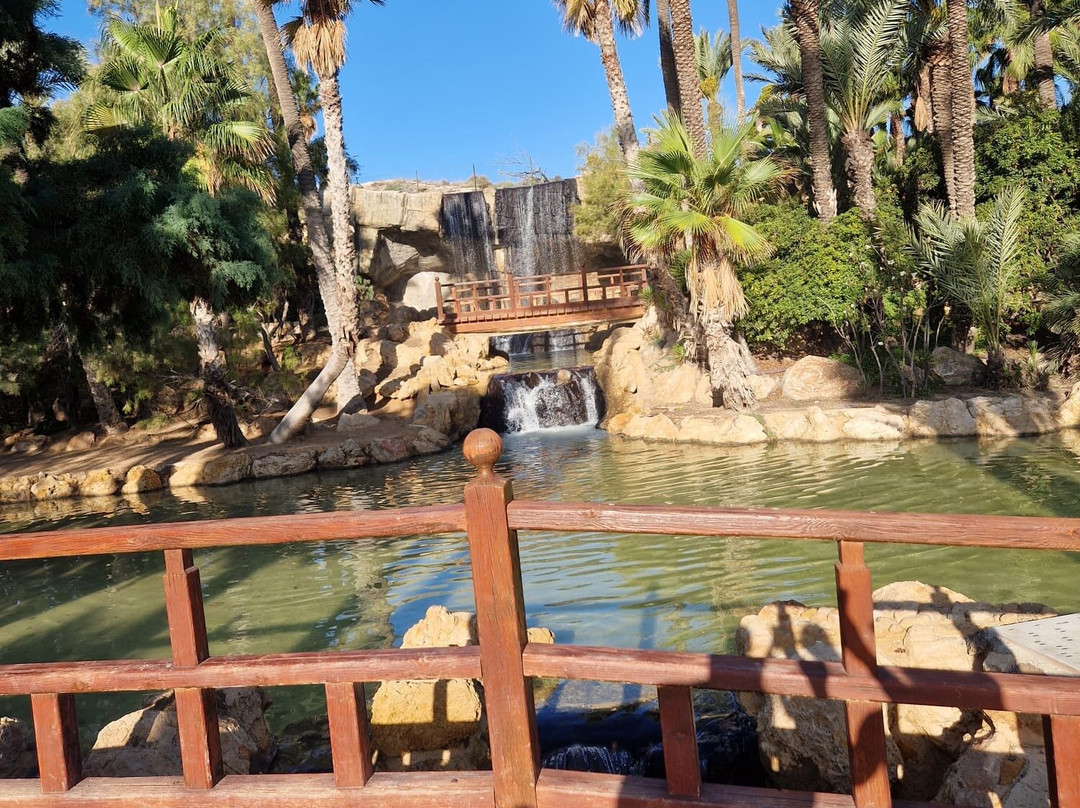 Parque El Palmeral景点图片