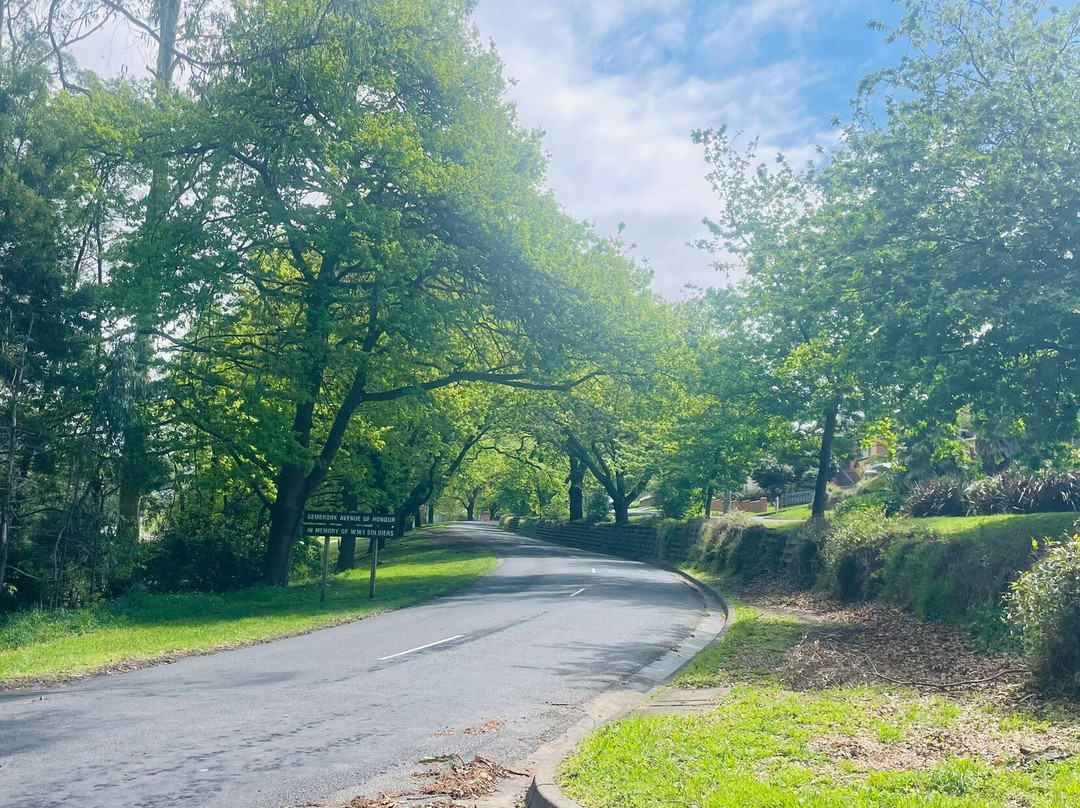 Gembrook Avenue Of Honour-Gembrook必去景点