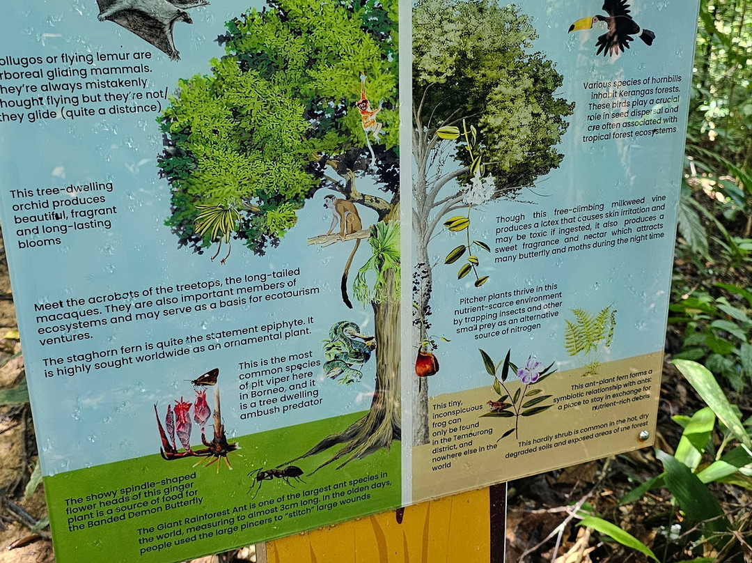 Bukit Patoi Forest Recreation Park-Bangar必去景点