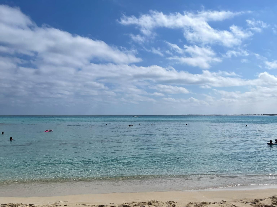 Carols Beau Rivage主图