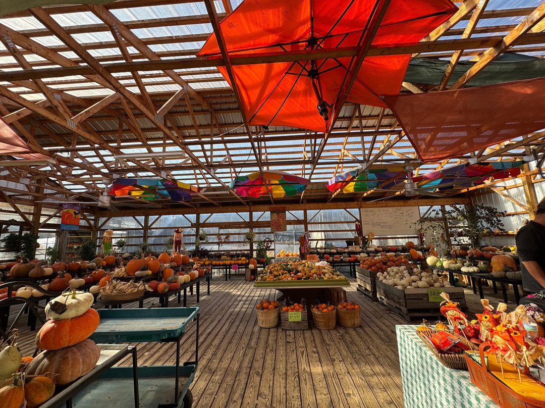 Mitchell Farm-Holly必去景点