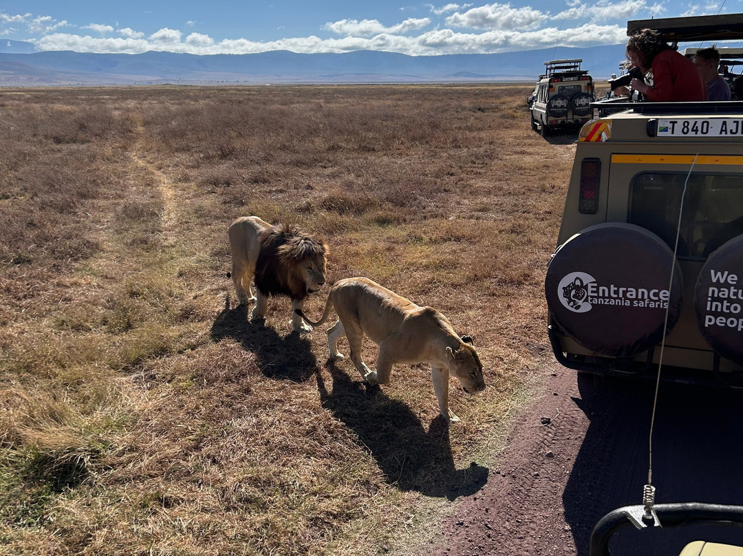 Zan Isaac Tours-桑给巴尔市必去景点