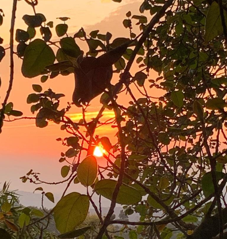 Chamundi Hill Palace Ayurvedic Resort主图