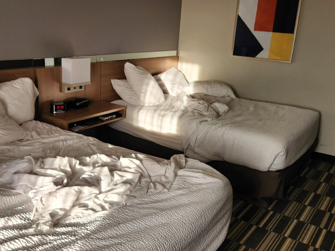 Microtel Inn & Suites by Wyndham Farmington主图