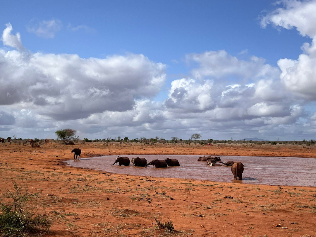 Muka Tours and Safaris-马林地必去景点